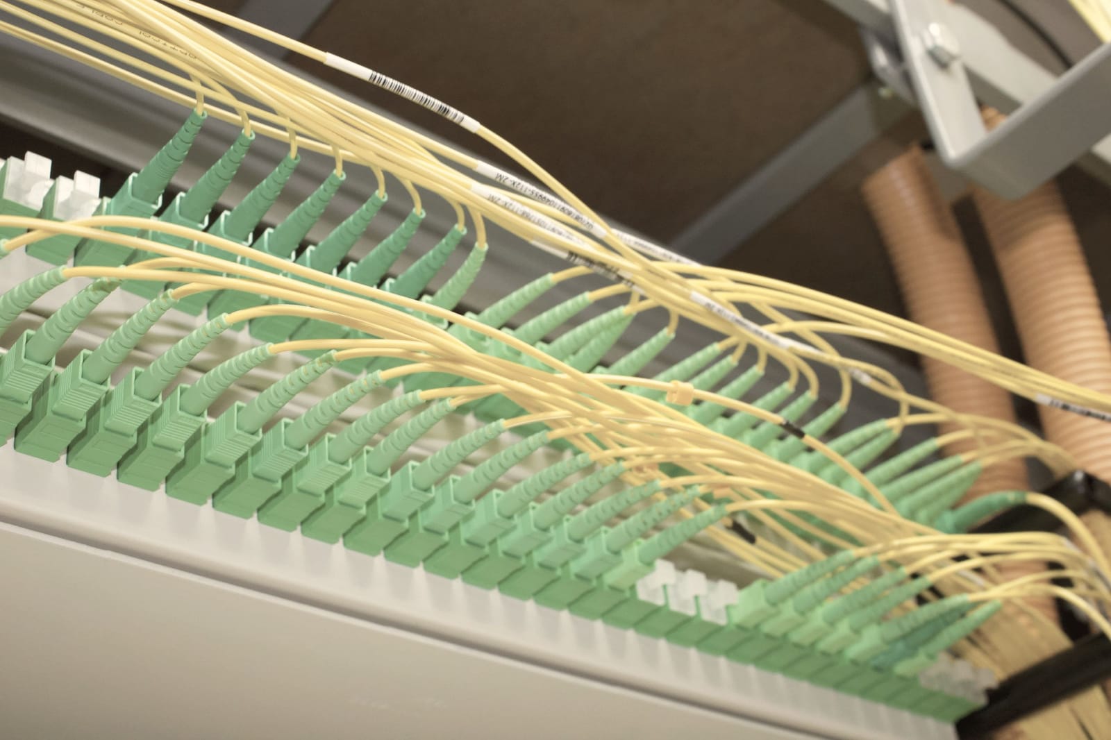 Fibre-optic patch cords connected to a patch panel